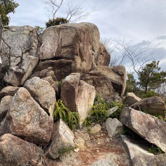 岩舞台
いろんな大きさ、形状の岩が組み合わさった自然のモニュメント🪨
