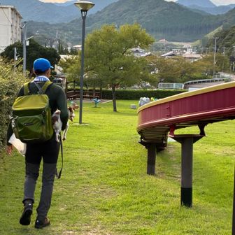 登山道にいくには竜宮公園を通ります。🐶❌なので抱っこです。