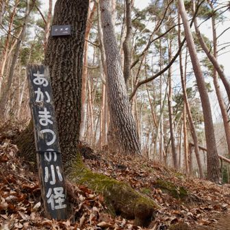 あかまつの小径もありました