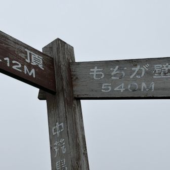 下山時、この『もちが壁』が急だわ滑るわでゆっくり慎重にしか降りられない😅