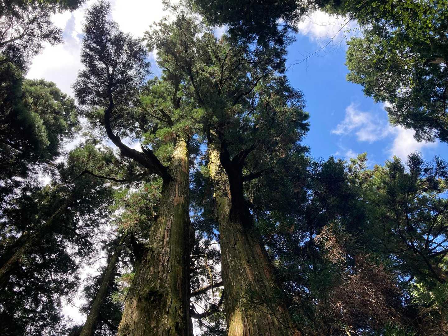 立派でした✨
