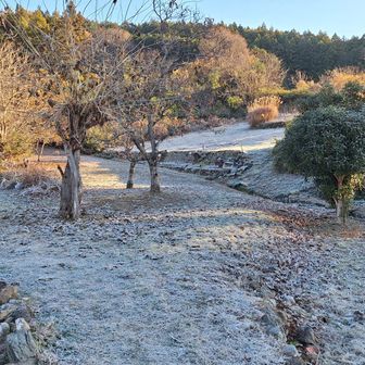 もう霜が～
やっぱり山間は寒いんですね