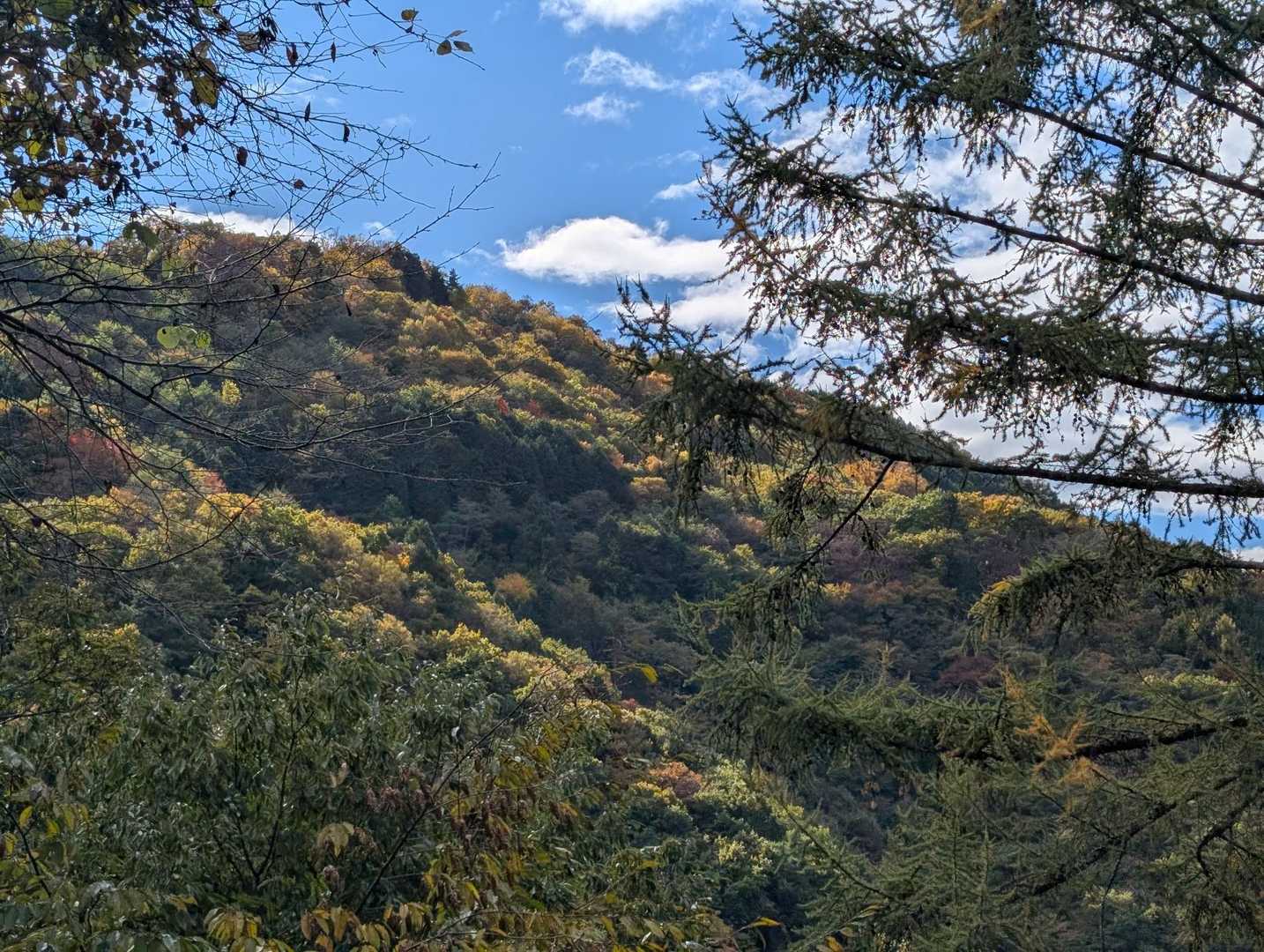 登ってきた山を振り返って見ると、「あんな高いところまで私たち登ってきたの！？」と少し誇らしく、そして嬉しく🤭