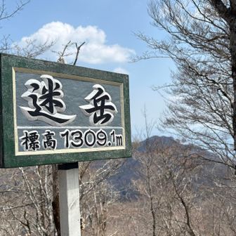 迷岳到着⛰️🙌🏻
この3時間半は長かった〜😅

後ろに見えているのは口迷岳⛰️