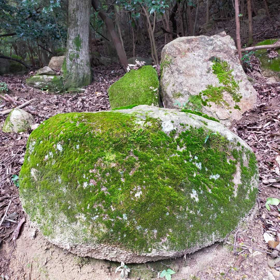 吉備大臣宮-妹山-鷲峰山-鷲峰山・捧澤寺入口 周回コースの写真