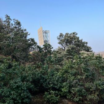 クロソンきたー😆