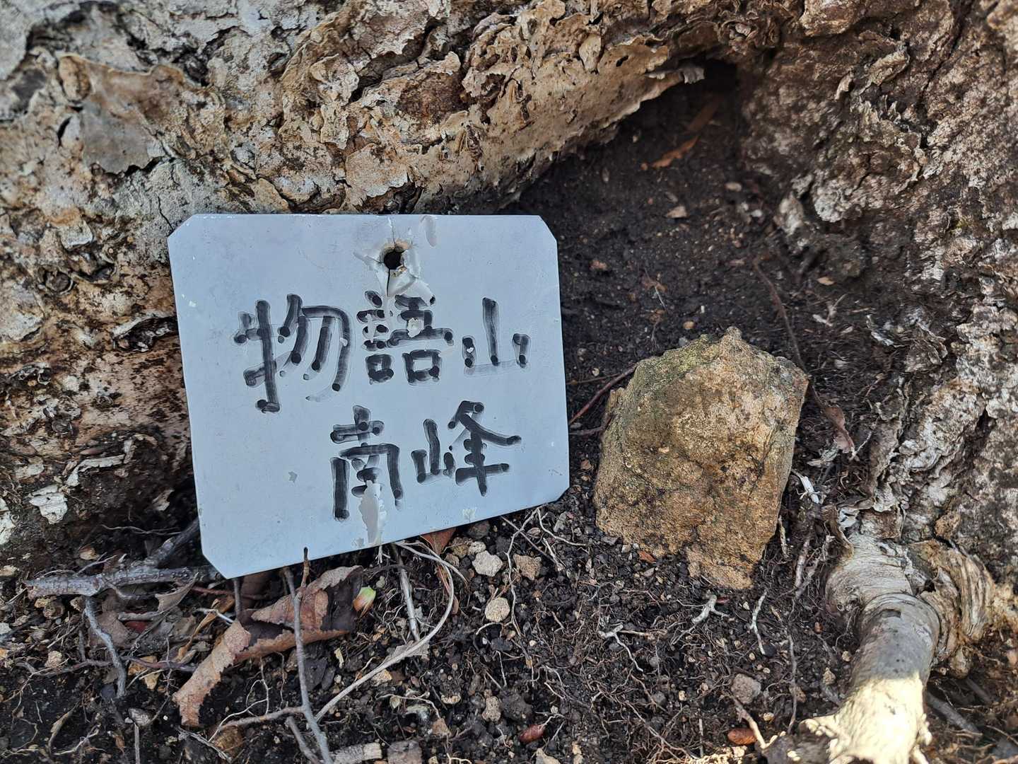 こちらは南峰。YAMAPではピーク登録ありません。