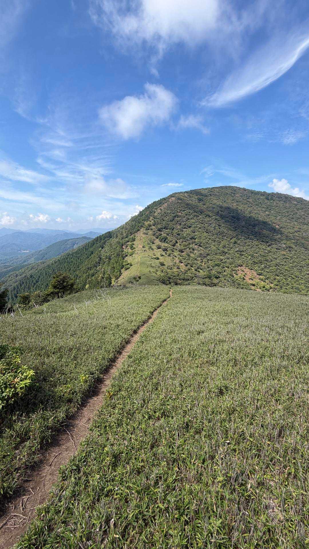 大江山 往復コースの写真