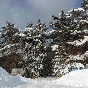 青空は叶わず
☁スタート😥