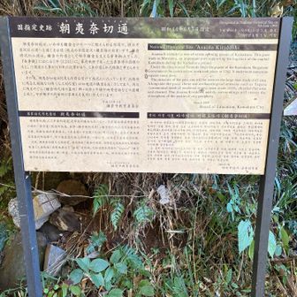 もう一つの本日の目標
朝夷奈切通し