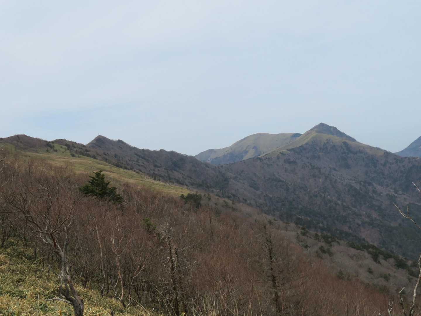 ちち山笹ヶ峰が🧐
