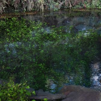 PLフィルターなしで撮るとこうなる。水底が見えない。