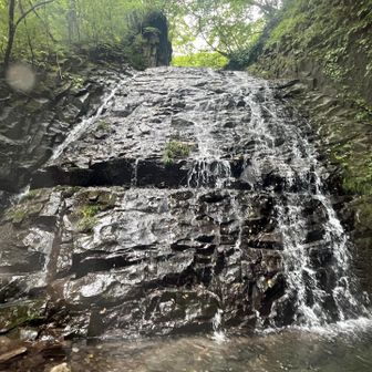 こちらは登った滝。念のためロープ出してもらった