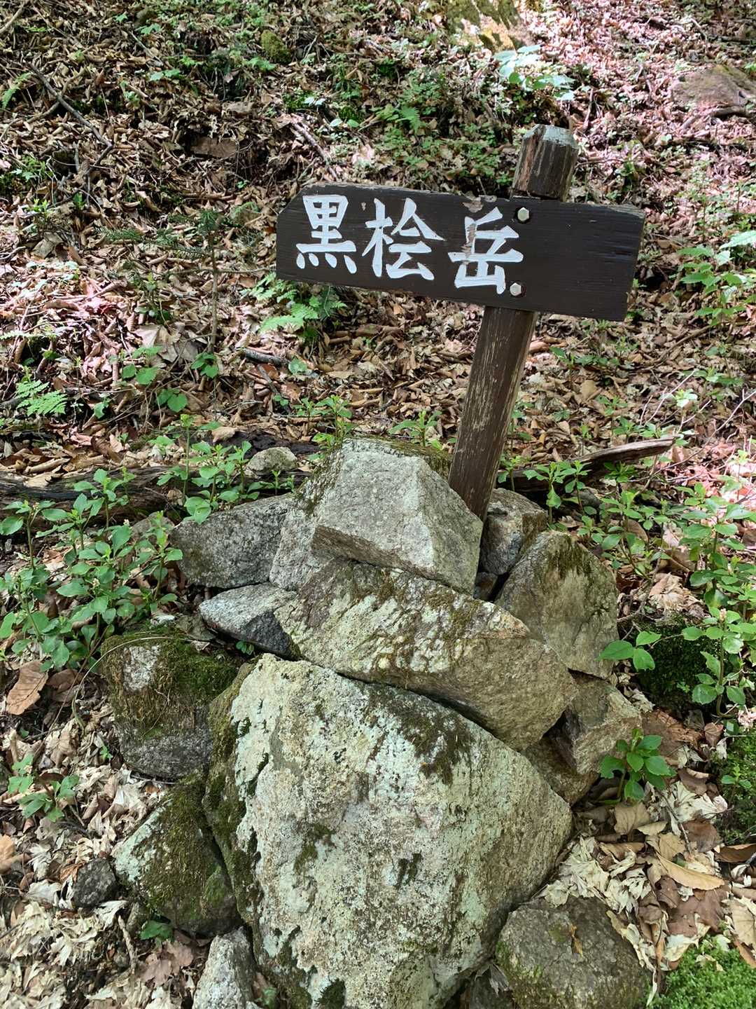 千手ヶ浜バス停-黒槍岳登山口-黒檜岳 往復コースの写真