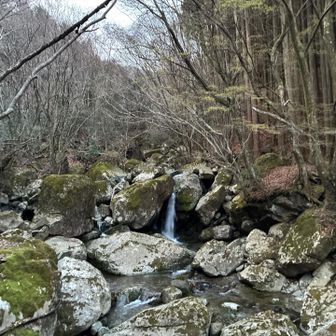 渓流沿いのトレッキングコースを登っていきます