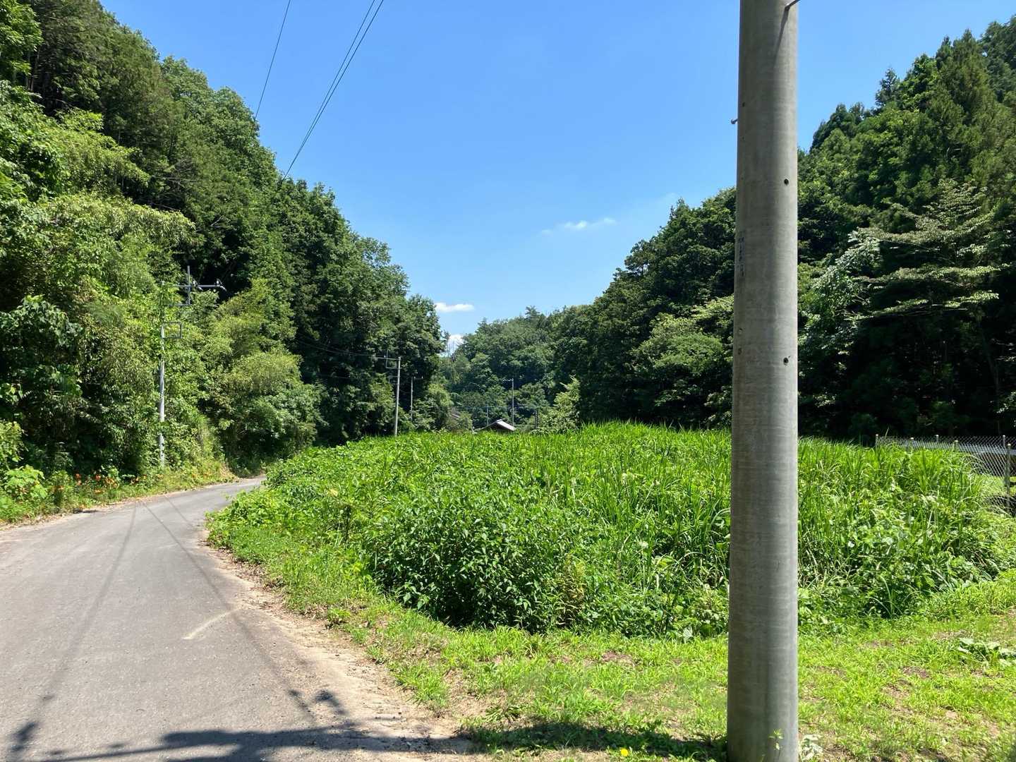 外秩父七峰縦走ハイキングコース入口-石尊山 往復コースの写真