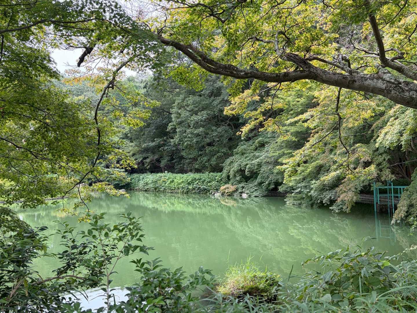 山川浅間山-あわぎ山-大坊山-大山祇神社登山口 縦走コースの写真