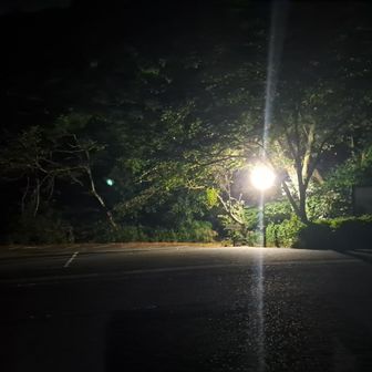 お久しぶりの清水山。
いつもと違って月明かりもなく闇。