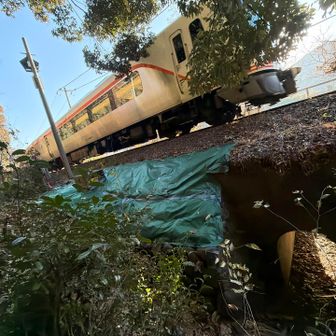 特急ひだたぶん2号名古屋行き✨
登山口:名物トンネルとセットで撮りたくて
10分前から待機するもタイミングミス💦