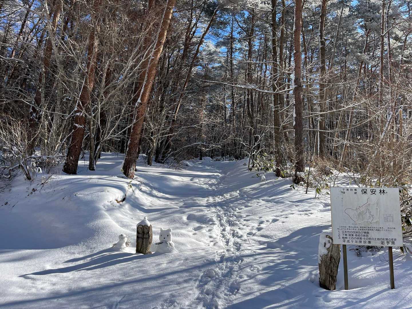 物見山-水辺の広場 周回コースの写真