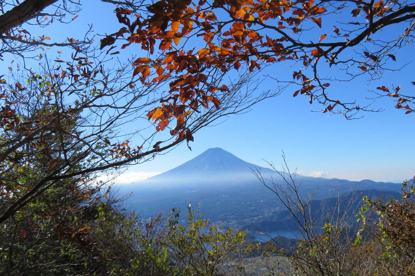 右手には富士山見えっぱなし🗻✨