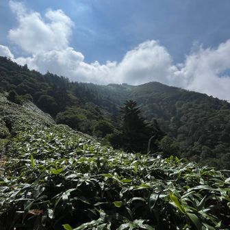 野営場付近から