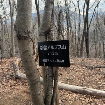 とうちゃーく。
眺望なし。