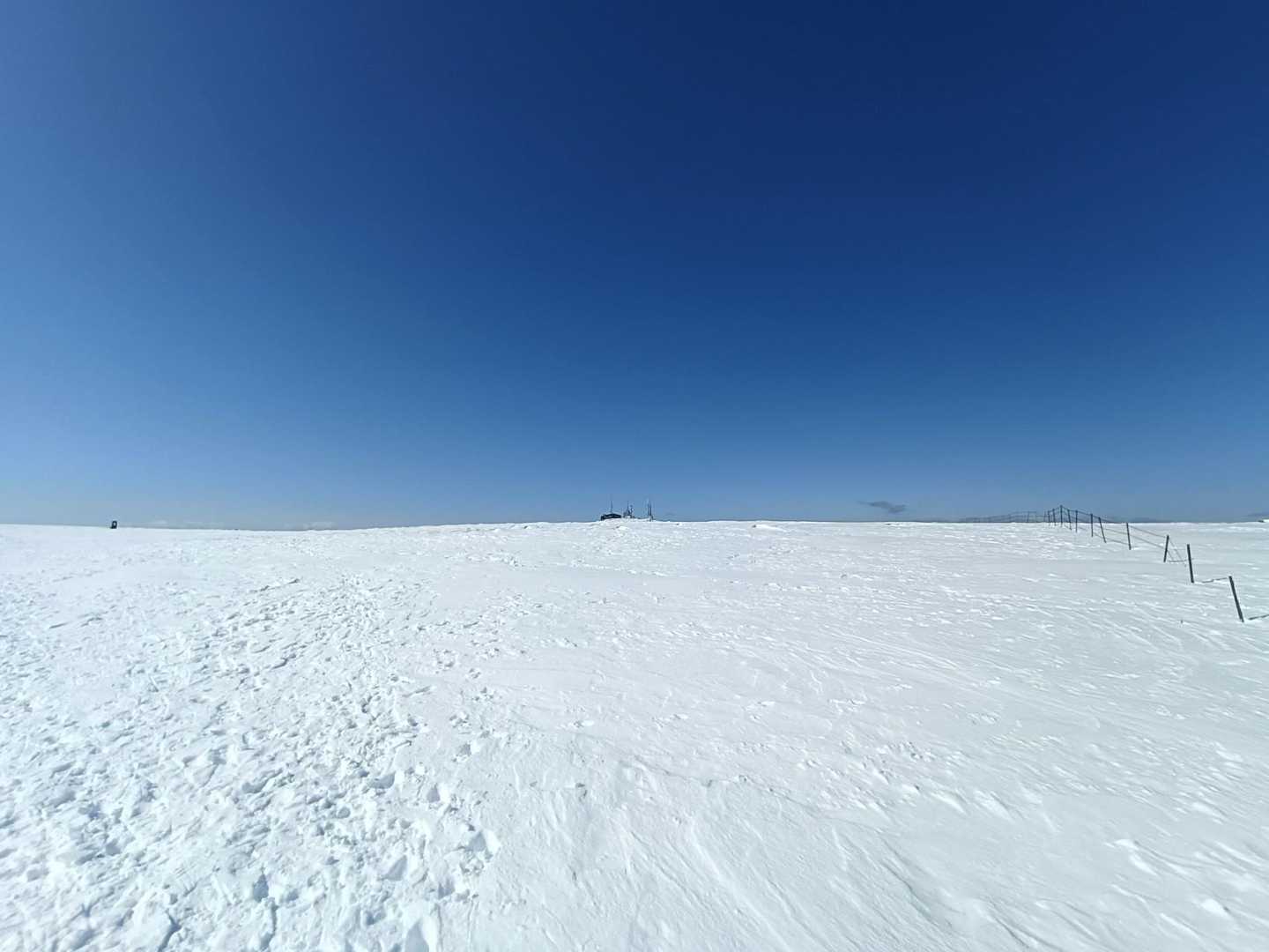 この真っ青な空と雪原がたまらない😆