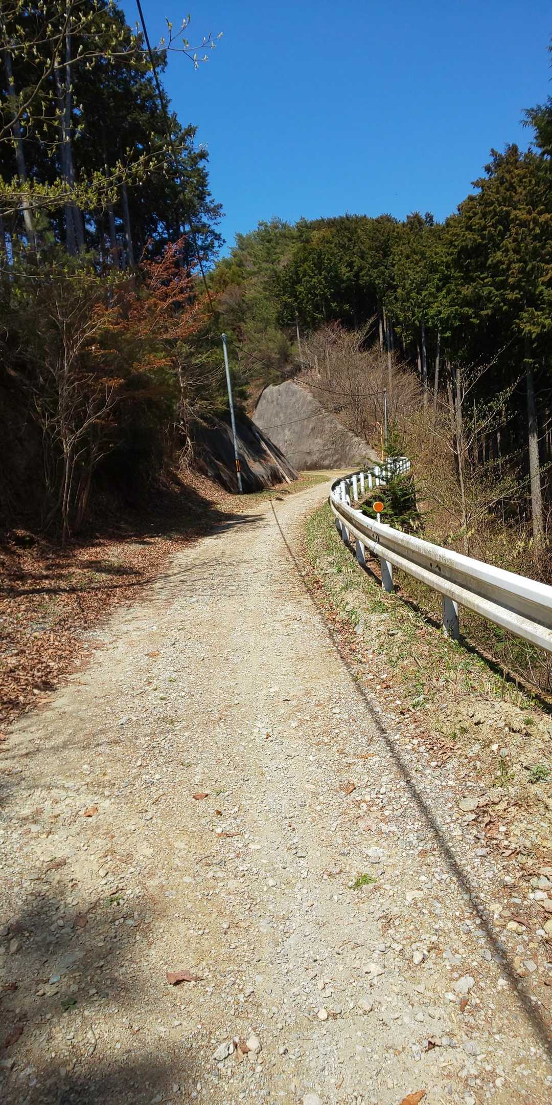 七重峠に下りて作業道を少し歩きます。