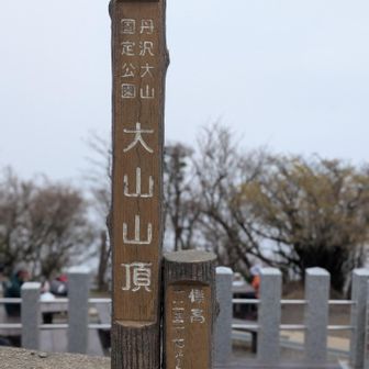 登頂（1252㍍）!!