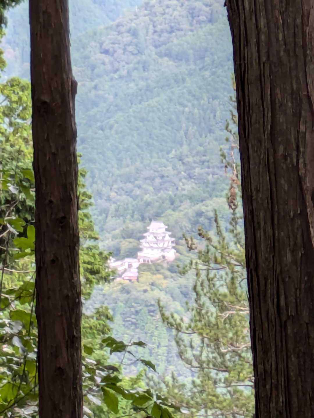 東殿山 周回コースの写真