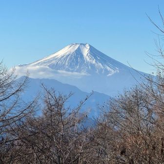 富士山どーん🗻