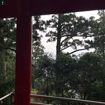 見えません🗻