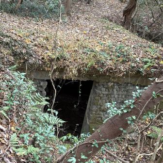 変なの写ってない？って言い出すから、余計に怖い💦病棟勤務なのに、怖がりなんです💦