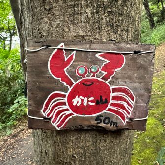 あった❣️
ランドマークとは違う場所にカニさん🦀の山名表示