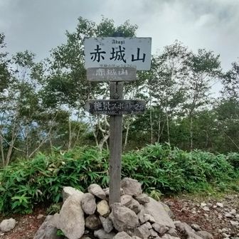 赤城山（黒檜山）山頂
さらに２分進むと絶景スポットとあるので進んでみる