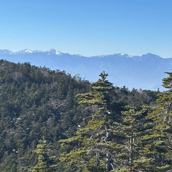 国師ヶ岳から。南アの面々。