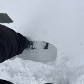 今シーズンのスノーシュー始め
今回オールスノーシューでした
深いところで膝下