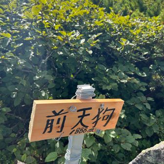 前天狗