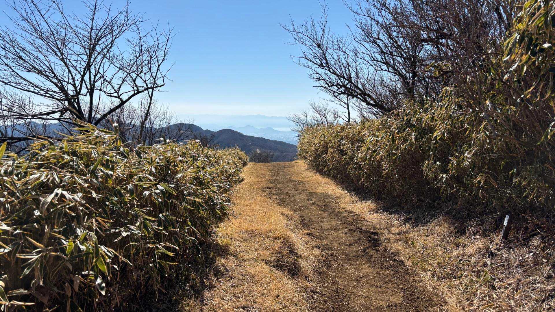 伊豆を思い起こさせる気持ちのいい稜線