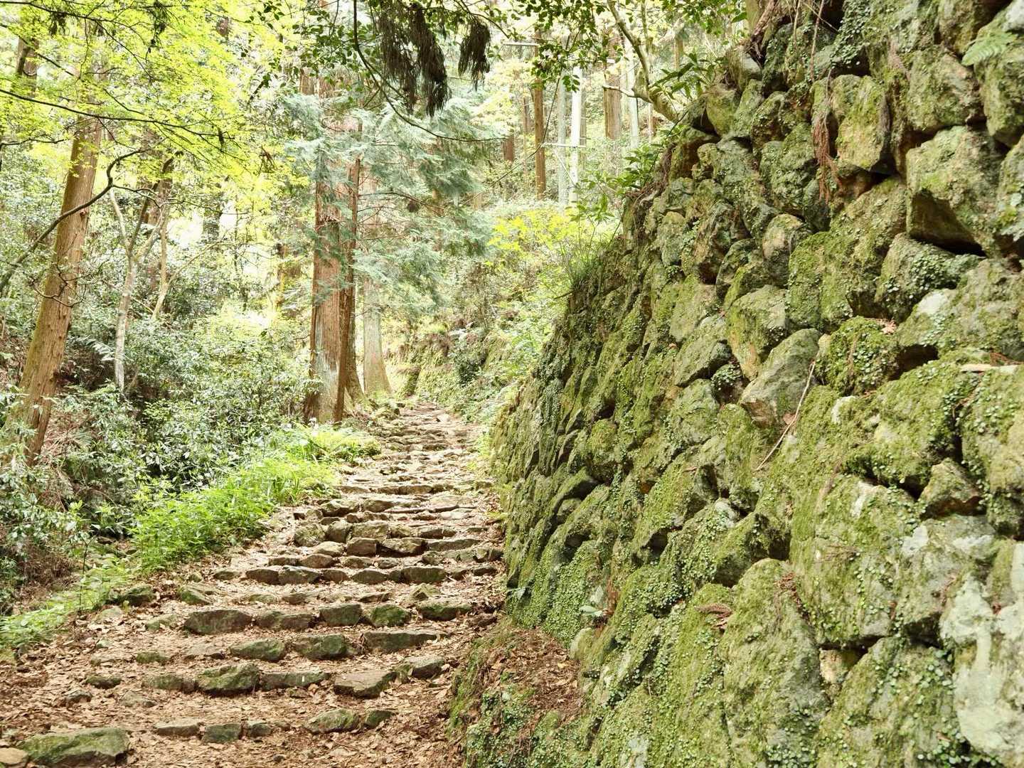 雰囲気イイんやけど
小さい虫にたかられまくる😓