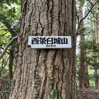 今回は、表札に気付きました