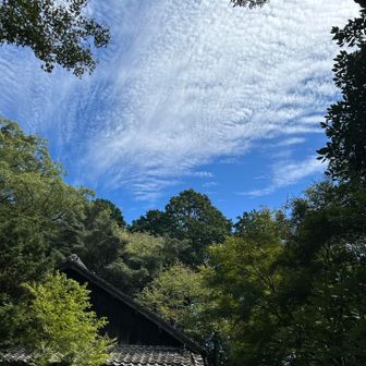 秋空が青く🟦綺麗です😍