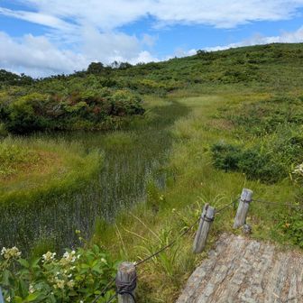 避難小屋手前の池塘