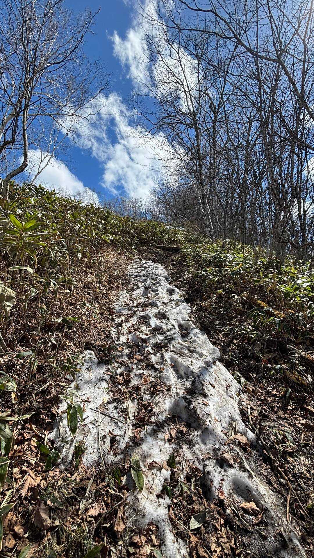この辺で下山中の🐸様とすれ違い…
本日初めて雪を踏む！