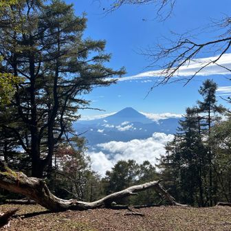 櫛形山到着♪富士山きれい！