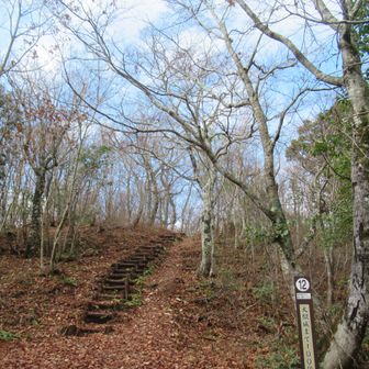 階段地獄、下りで良かった