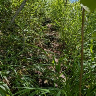 こんな所もあります🌿