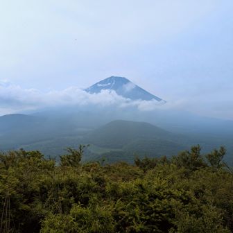 南峰からは富士山が見えるのですよ😆
到着時でこんな景色でしたが数秒後には雲で覆われてしまった