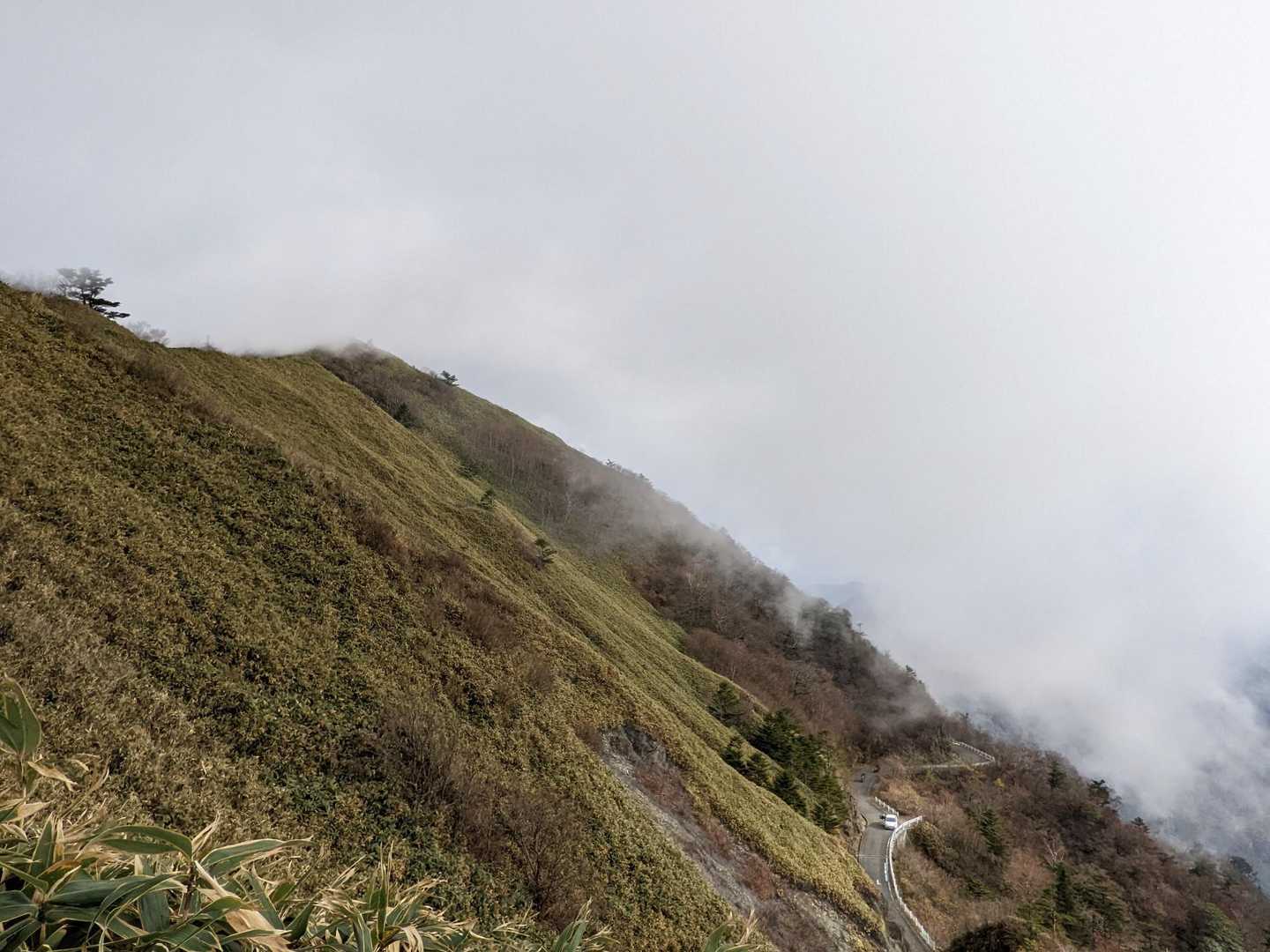 東黒森 往復コースの写真